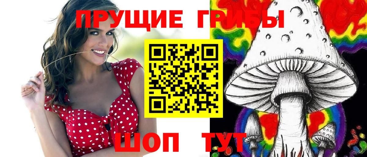 Галлюциногенные грибы Cubensis Электрогорск