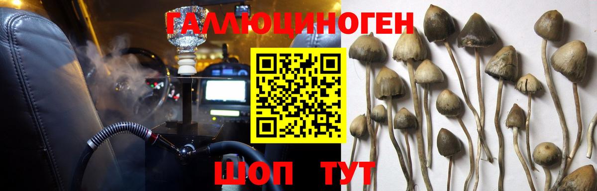 Электрогорск  Псилоцибиновые грибы Magic Shrooms  Галлюциногенные грибы Psilocybe  Вход с VPN 